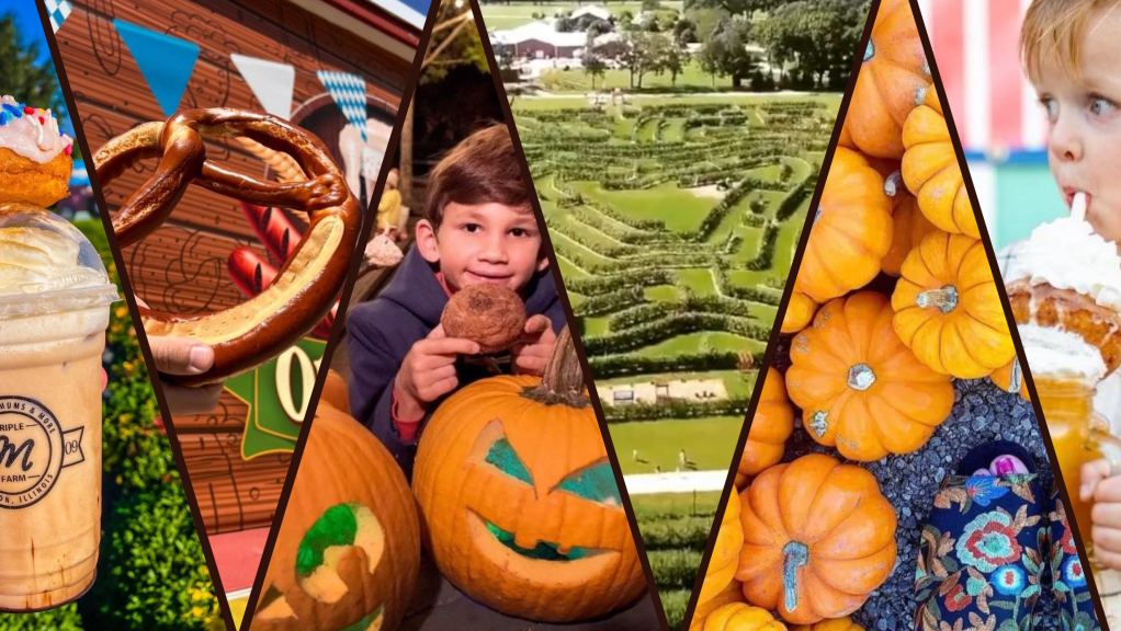 Top 10 Must-Visit Fall Foodie Destinations in Illinois&nbsp;2023