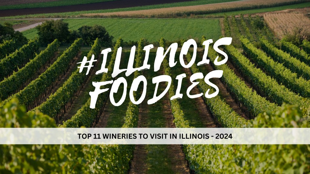 Top 11 Wineries to Visit in Illinois&nbsp;2024